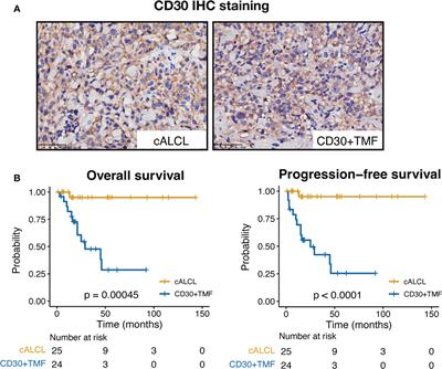 Differential molecular programs of cutaneous anaplastic large cell lymphoma and CD30-positive transformed mycosis fungoides